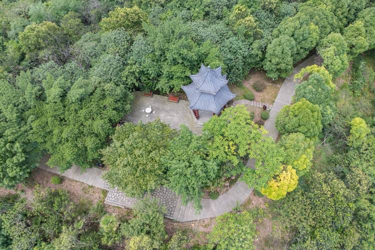 国内城市森林哪里做得好？这几个成功的案例值得一看！