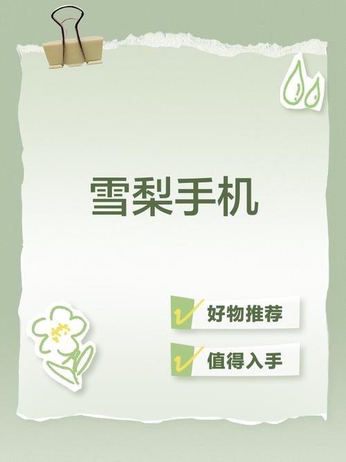 类似雪梨网的平台有哪些?这几个网站更值得你收藏!