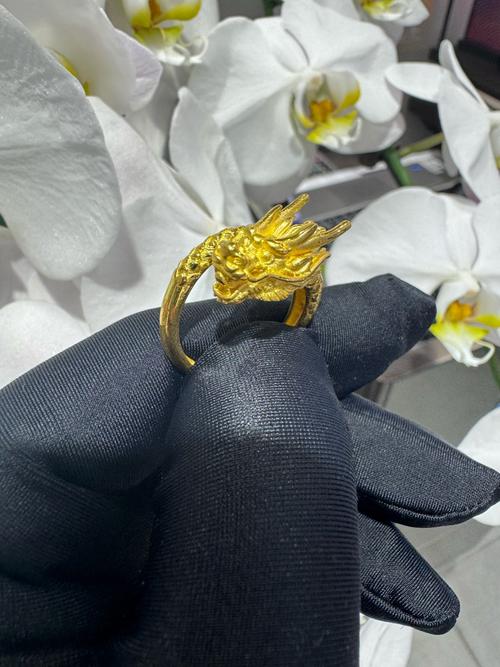 盘龙戒看完后该看什么？这几本修真小说必看！