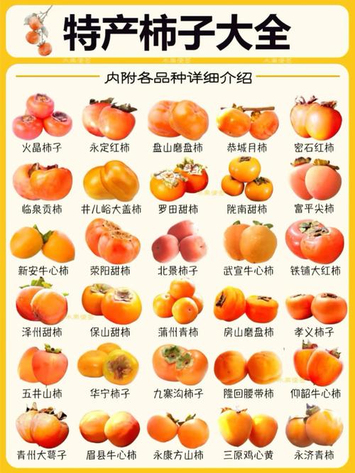 市场上常见的小柿子品种有哪些？教你轻松分辨哪个好吃！