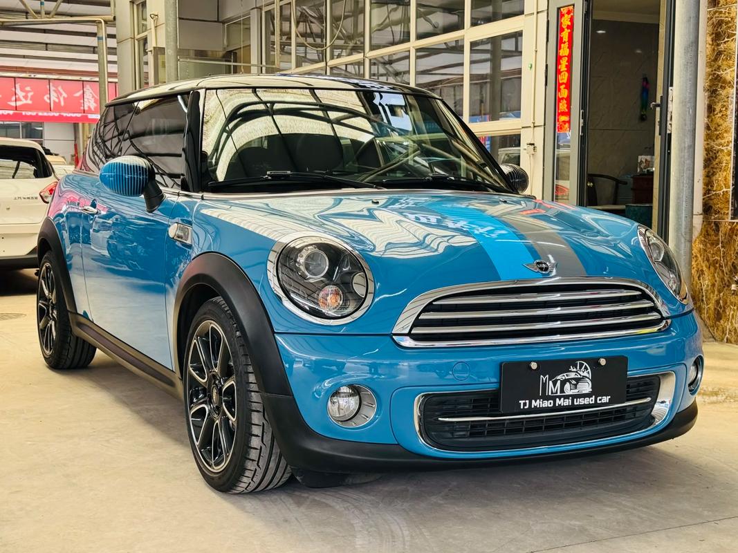 迷你罗斯特适合新手吗？专家建议为你解惑！