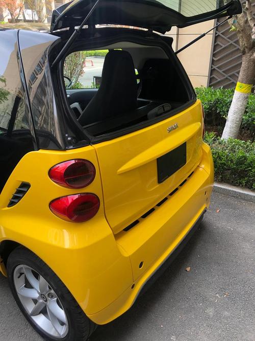 迷你罗斯特适合新手吗？专家建议为你解惑！