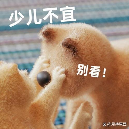 奉劝你千万别看逗别看内容！但点击后你会发现新世界！