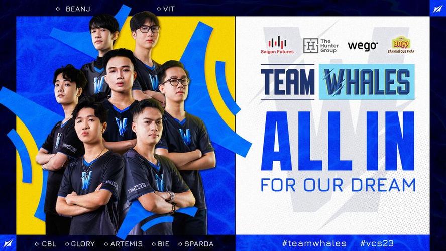 TW战队真的要解散了吗？官方回应内部变动最新消息！