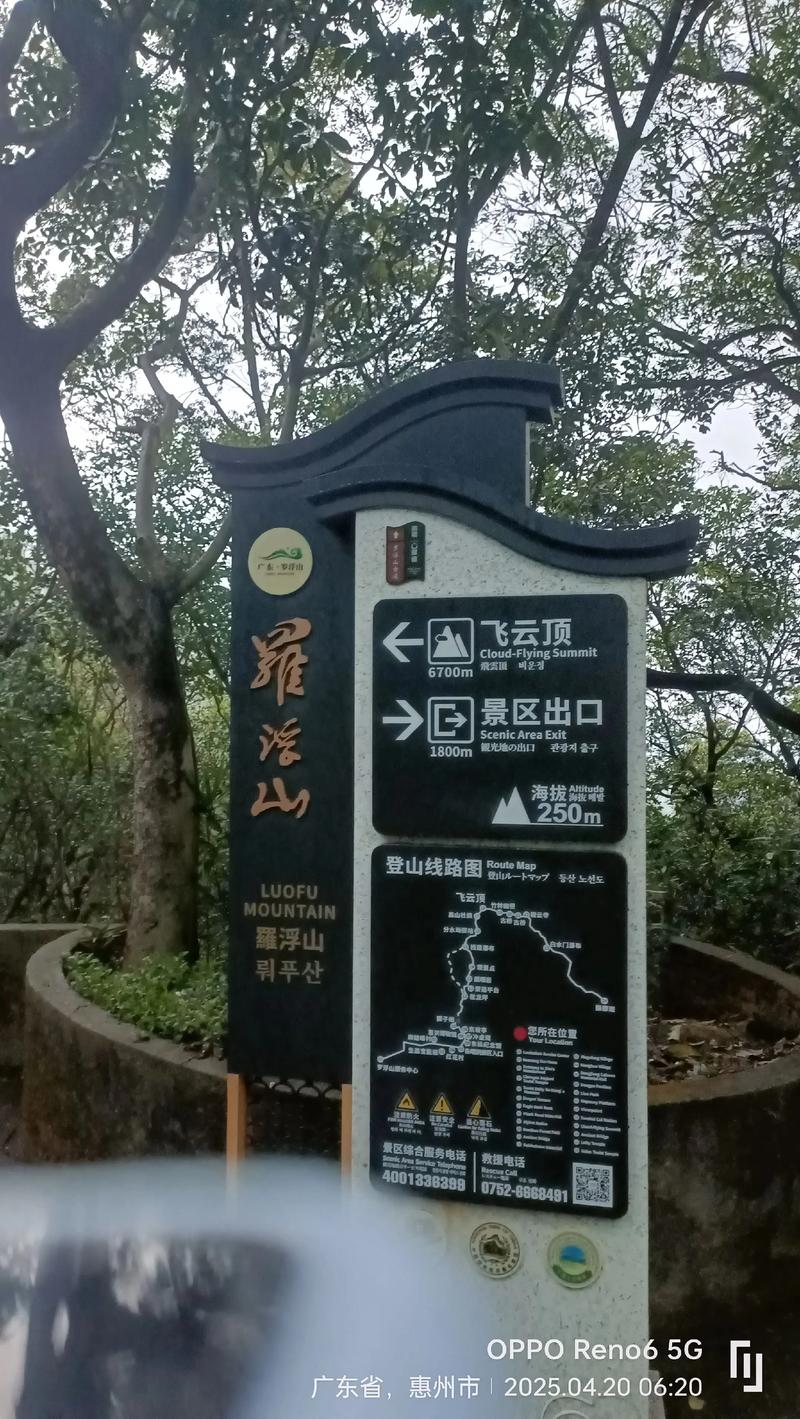 什么时候去飞云山最好玩？这份季节游玩指南收好！