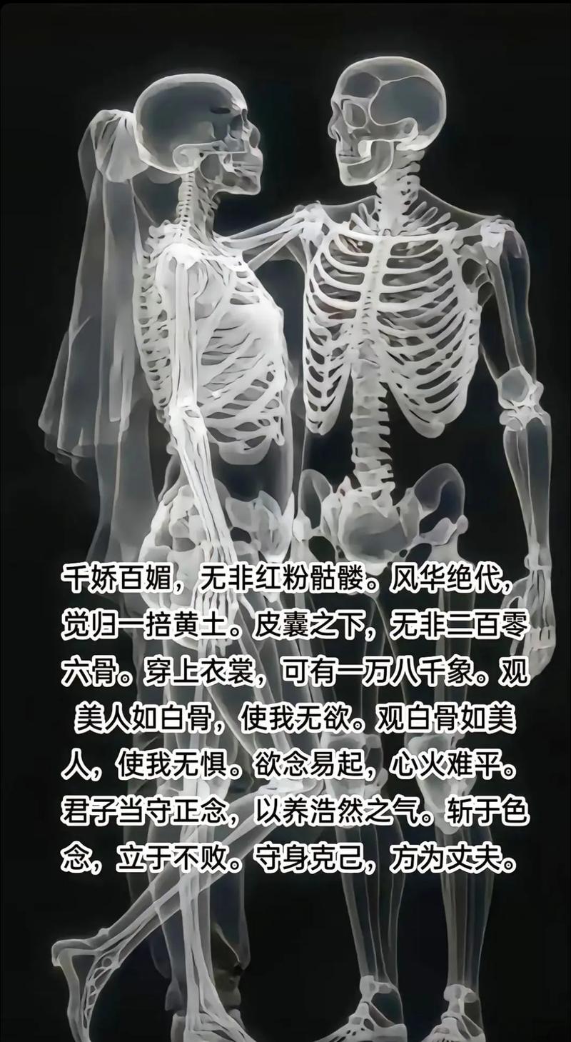 如何理解骷髅人生的内核？解读主角背后的哲学思考！