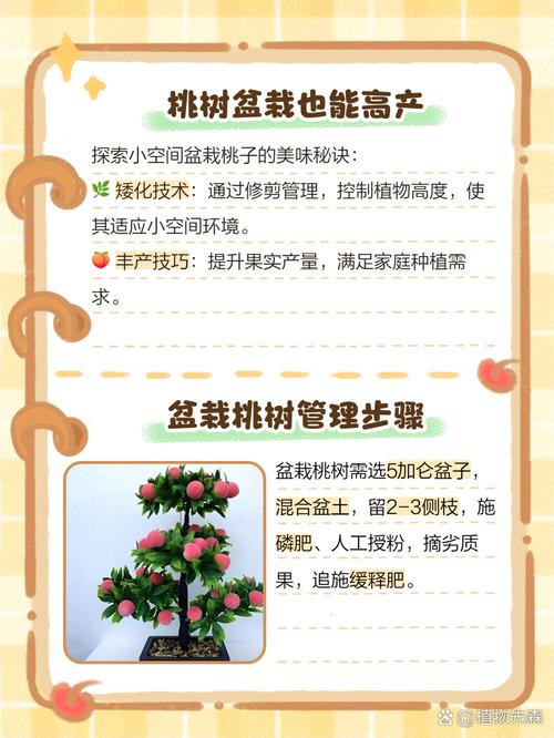 桃子移植存活率如何提高？掌握这3个关键点很轻松！