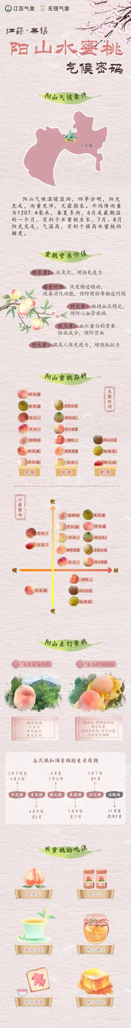 桃子移植存活率如何提高？掌握这3个关键点很轻松！