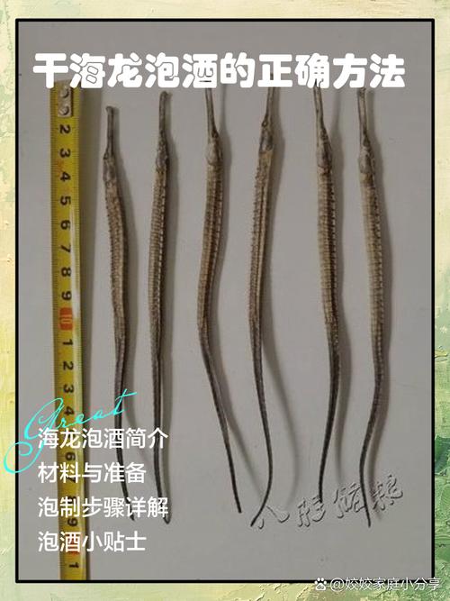 野生白海龙应该怎么辨别真假？学会这三招不吃亏！