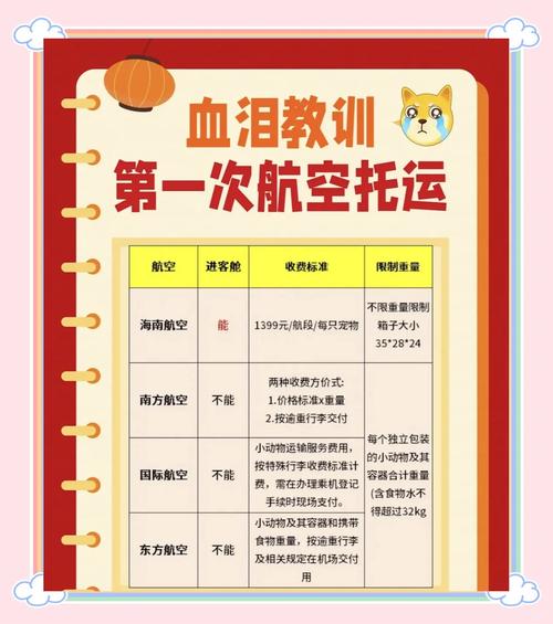 指南猫收费标准贵不贵？2024年最新价格表公布！