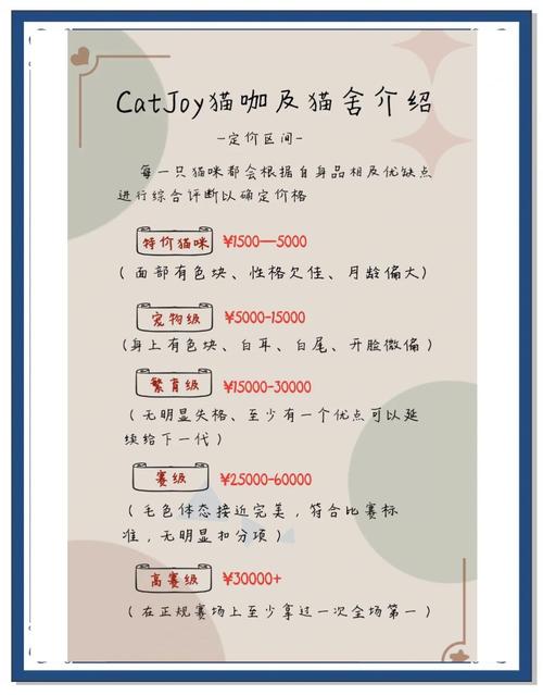指南猫收费标准贵不贵？2024年最新价格表公布！