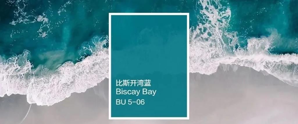 比比蓝为什么这么火？揭秘比比蓝爆火的背后原因！