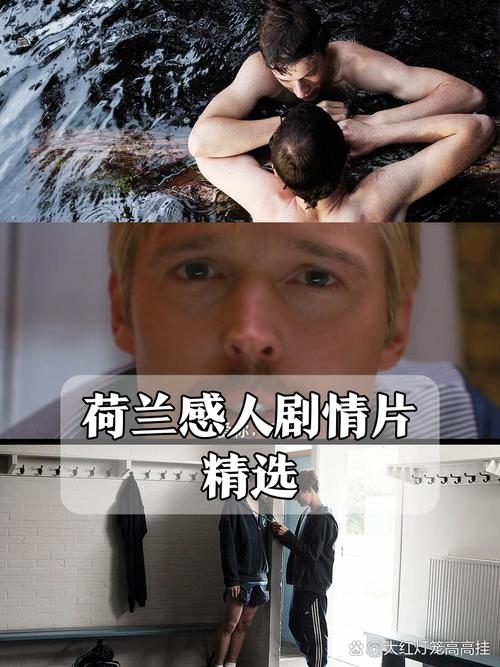 桑德兰王子电影版本哪个好？行内人推荐这三部！
