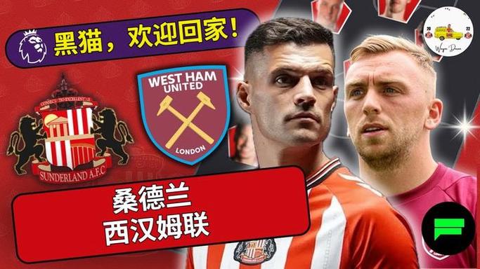 桑德兰王子电影版本哪个好？行内人推荐这三部！