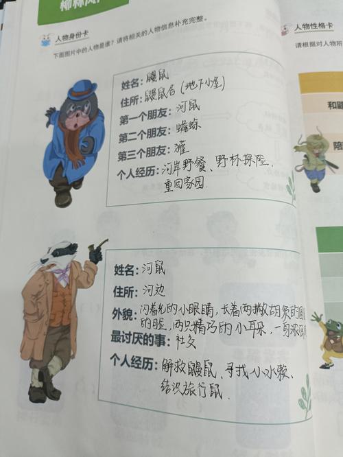 如何评价娜米拉这个人气明星？网友真实评价帮你做决定！