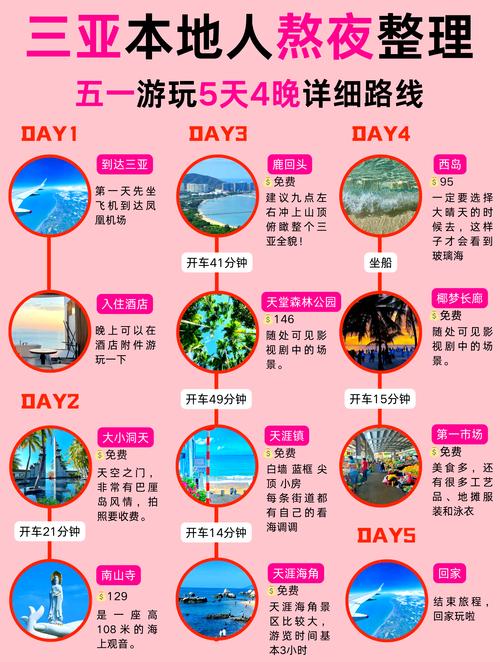 天宠岛怎么玩才能快速升级？新手必看的高效升级秘籍！