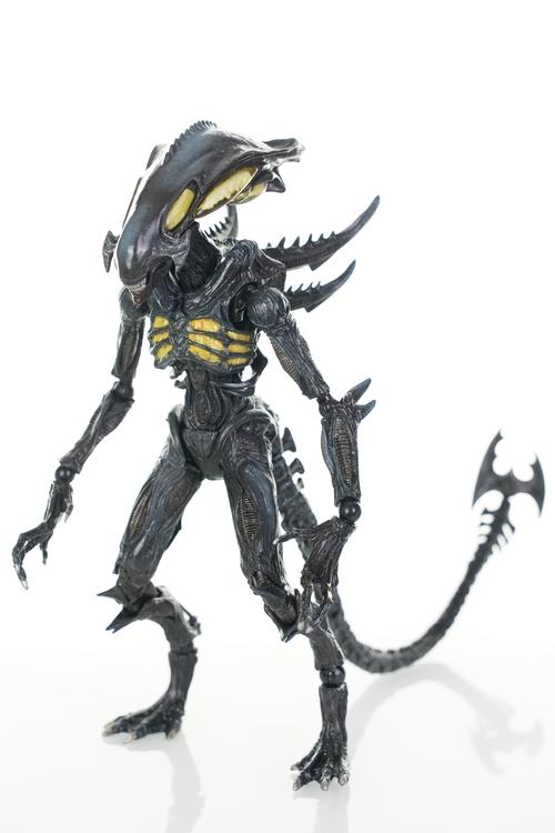 异形殖民军有哪些特色玩法？这几点不容错过