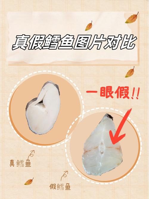假的石鳞鳕鱼如何辨别？教你一眼识破假冒品！