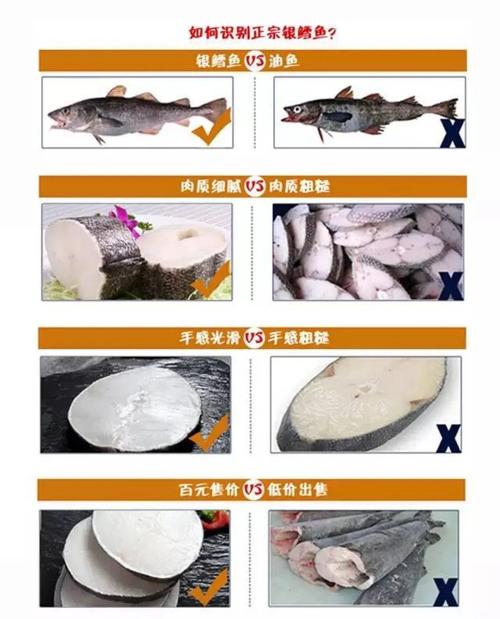 假的石鳞鳕鱼如何辨别？教你一眼识破假冒品！