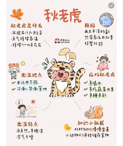 秋老虎开始和结束时间？这份防暑降温指南收好