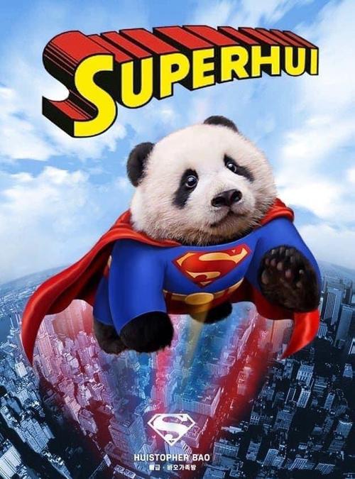 熊猫超人角色都有谁？主角光环竟然是这样设定的！