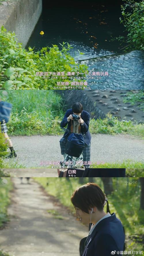 怎么评价聚焦之虹这本书？读完它我有了新感受！