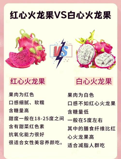 红心火龙果比白心甜多少？实测甜度数据大公开