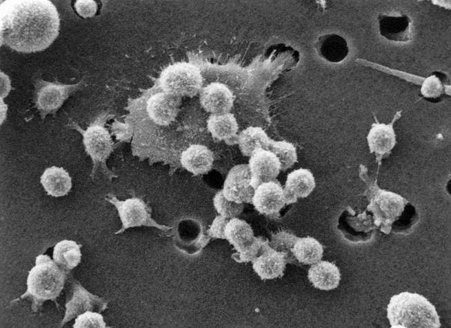 disintegration如何避免？3个实用预防方法实测有效
