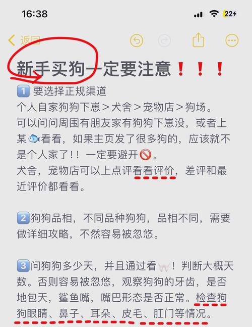在淘宠网买宠物安全吗？新手必看如何保障宠物健康不被骗！