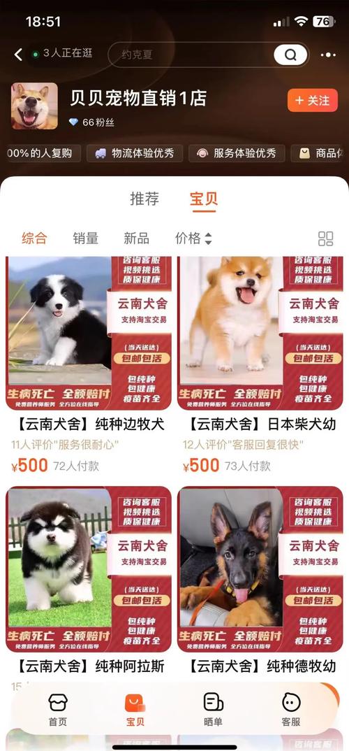 在淘宠网买宠物安全吗？新手必看如何保障宠物健康不被骗！