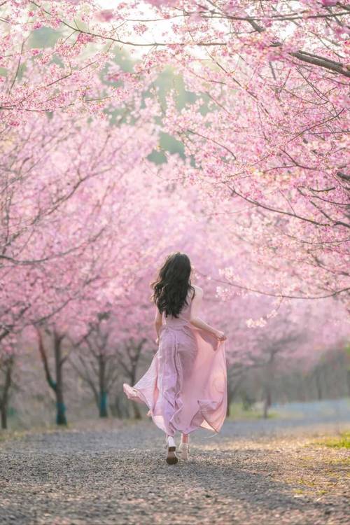 怎么拍好春日樱花大片？摄影师教你几个简单技巧！