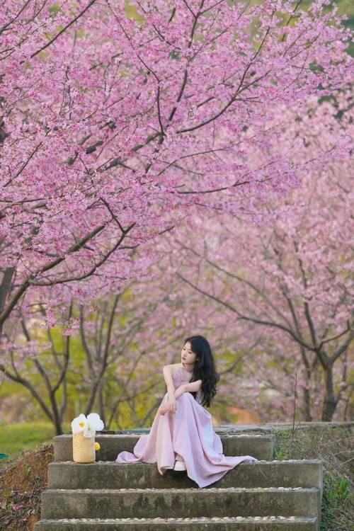 怎么拍好春日樱花大片？摄影师教你几个简单技巧！