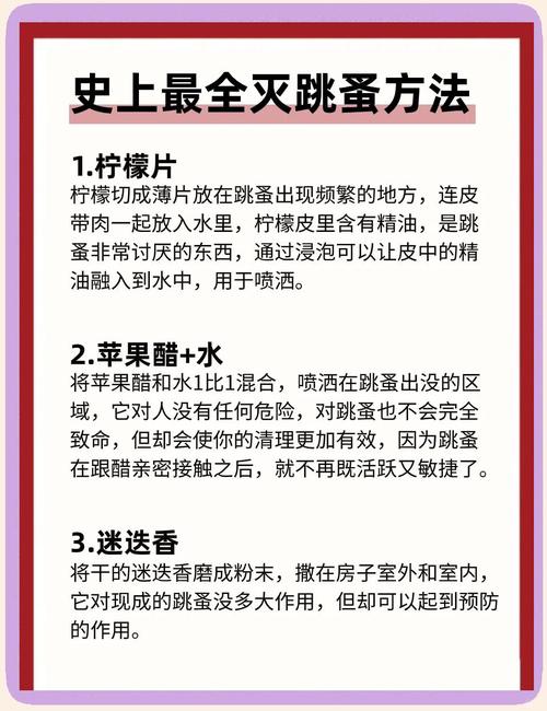 避免大肆破坏有什么技巧？老司机教你提前预防的秘诀！