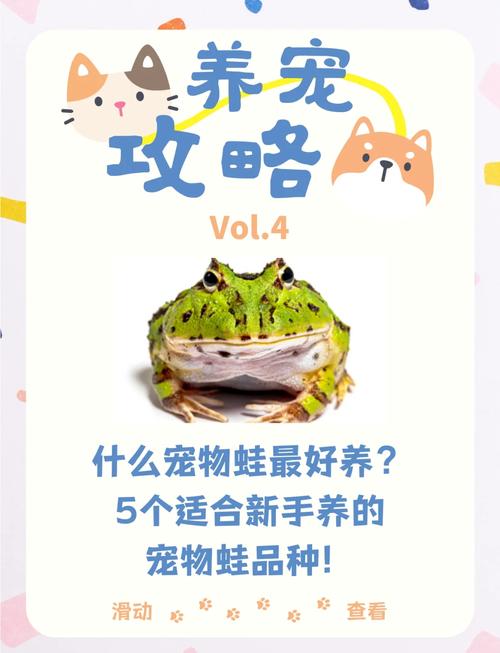 大眼蛙喂食指南大全，这几种食物能让它长得更快更壮！