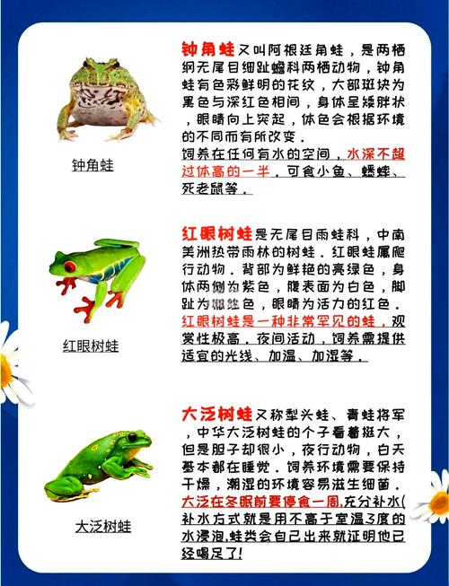 大眼蛙喂食指南大全，这几种食物能让它长得更快更壮！