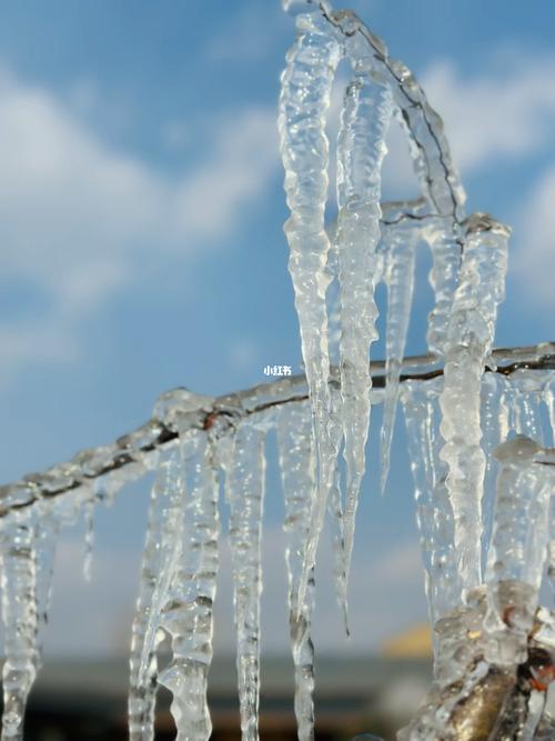 冰冻棱柱的合成材料有哪些？轻松教你制作出来！