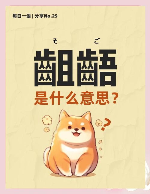 ndm到底是什么意思？新手快速入门看这篇文章就懂了。