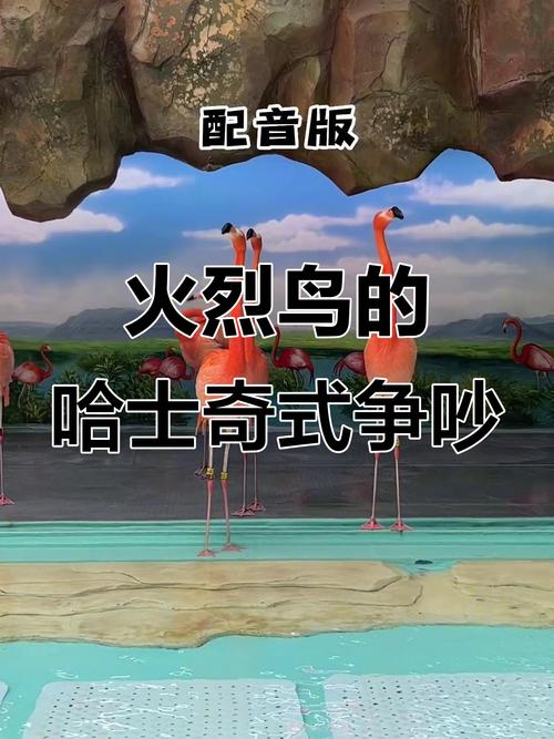 小鸟对对碰为啥这么火？原因竟然是这样！