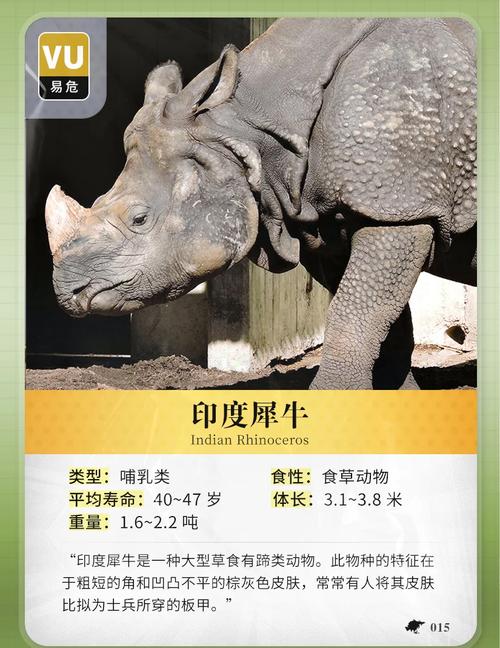 犀牛肉多少钱一斤？最新市场价格行情和购买渠道揭秘！