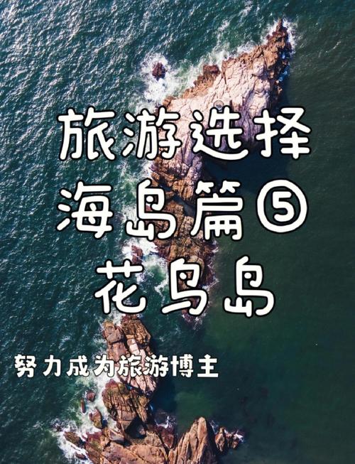 天堂最新版怎么玩更好？五个必学技巧快速上手