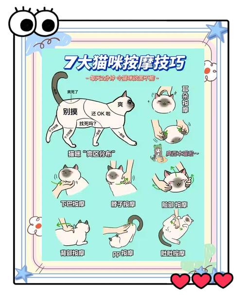 喵喵在哪抓比较容易?看这里就知道啦!