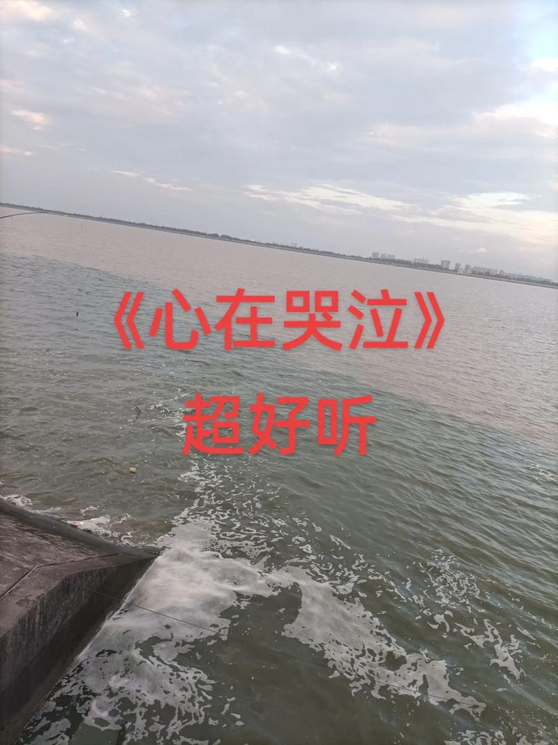 是谁的心啊在哭泣？学会释放情绪告别悲伤