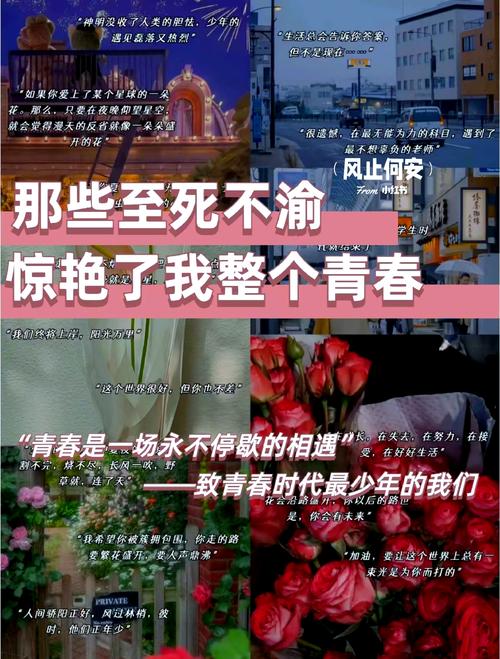 为什么要相约青春？相约青春到底在相约什么？