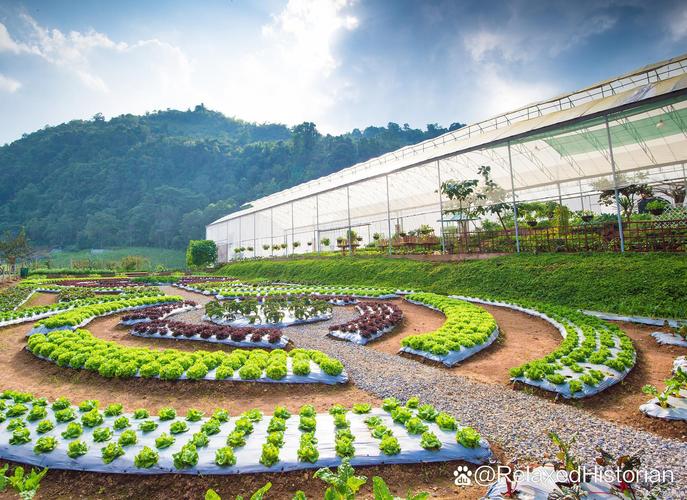 哪些项目适合经营农场？推荐几个回报率高的热门项目！