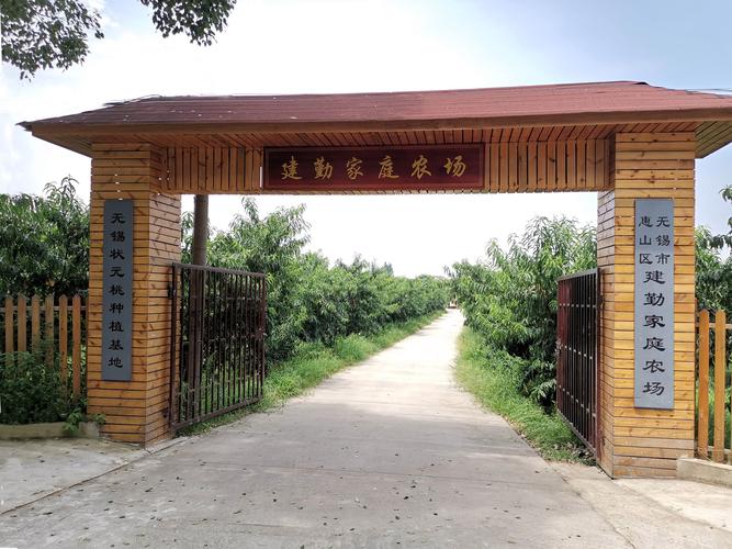 哪些项目适合经营农场?推荐几个回报率高的热门项目!