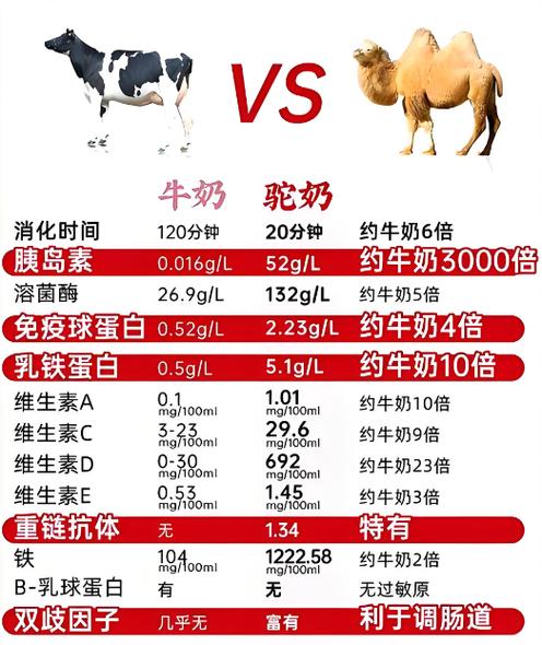 奥丹姆骆驼好养吗？养殖达人来分享经验！