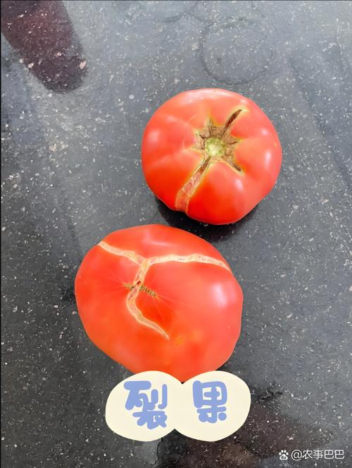 烂番茄分数怎么解读？一分钟搞懂新鲜度和爆米花！