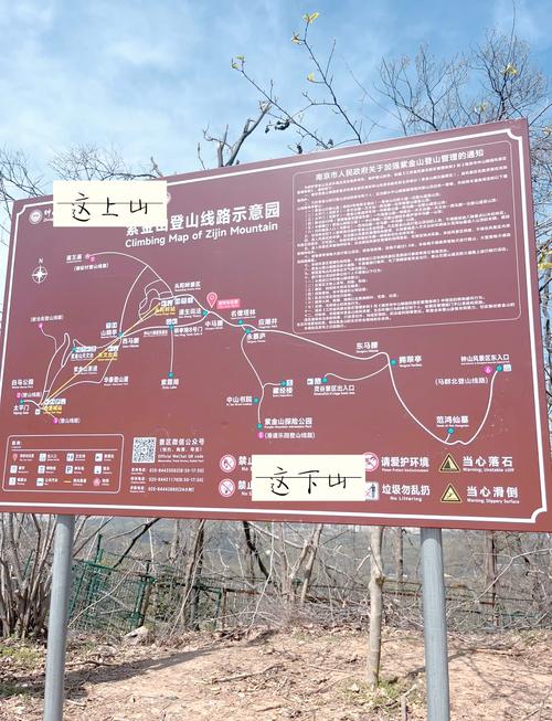 紫雨林徒步线路难度如何？新手也能轻松走的路线推荐！