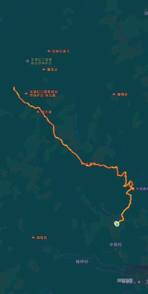 紫雨林徒步线路难度如何？新手也能轻松走的路线推荐！