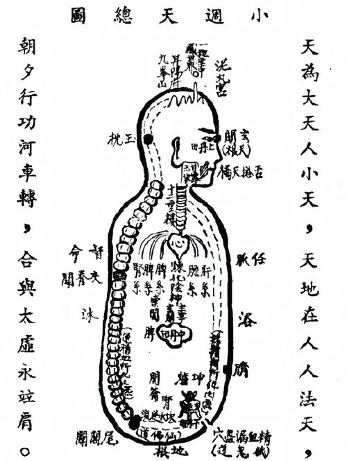 初学者怎么进行内丹升级？一定要避开这3个修炼误区！